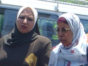 Can an understanding of the agency of pious Muslim women teach us lessons about political change generally? Leslie Lewis thinks so.